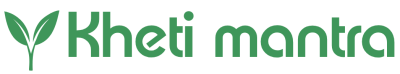 system logo